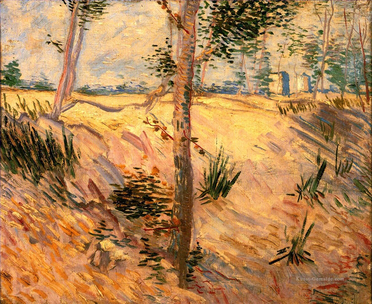 Bäume auf einem Gebiet an einem sonnigen Tag Vincent van Gogh Ölgemälde